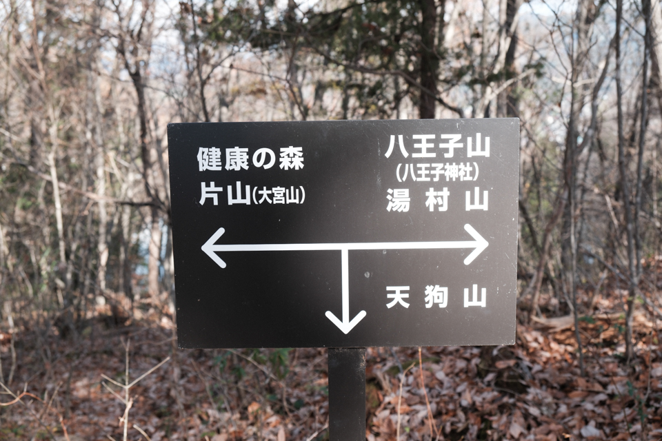 天狗山への道標