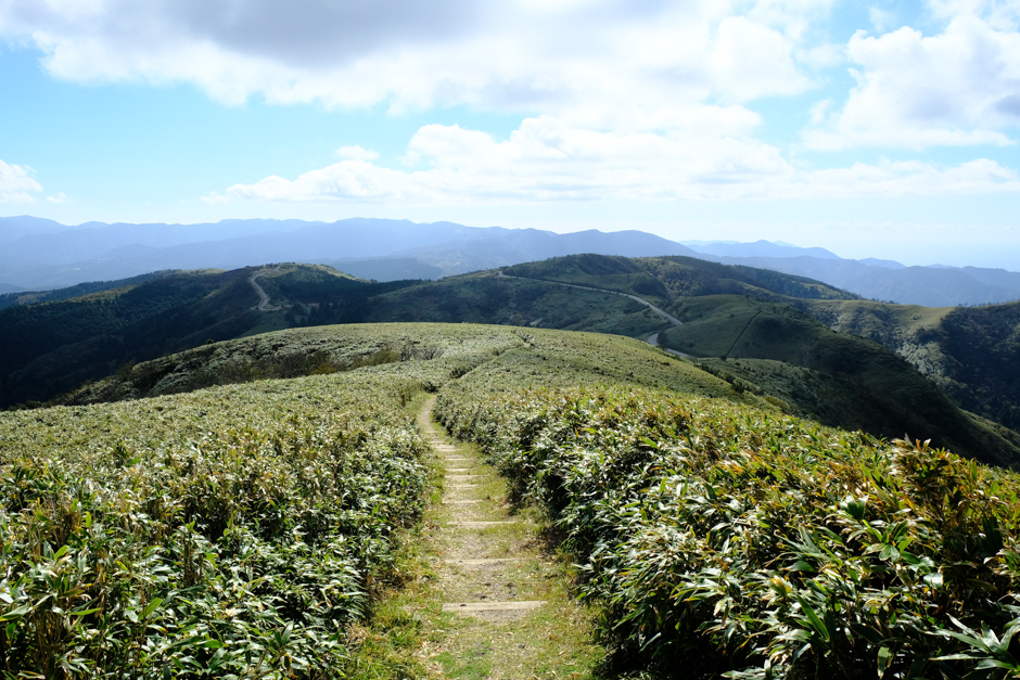 達磨山山頂から続く伊豆山稜線歩道