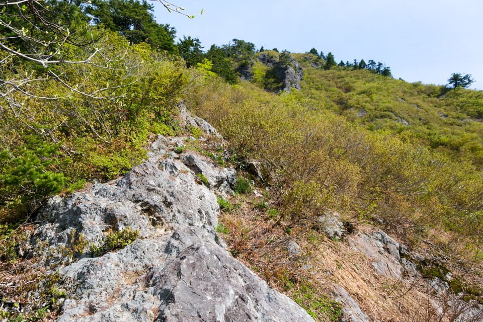 蒲生岳の登山道