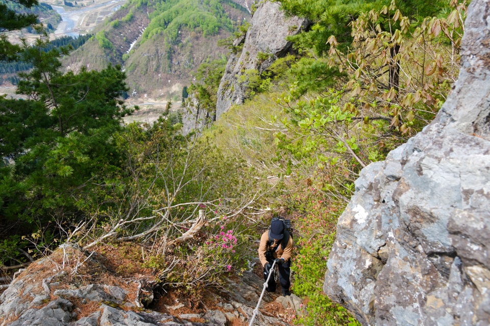 蒲生岳の登山道