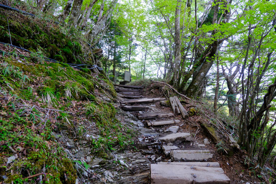 剣山の登山道