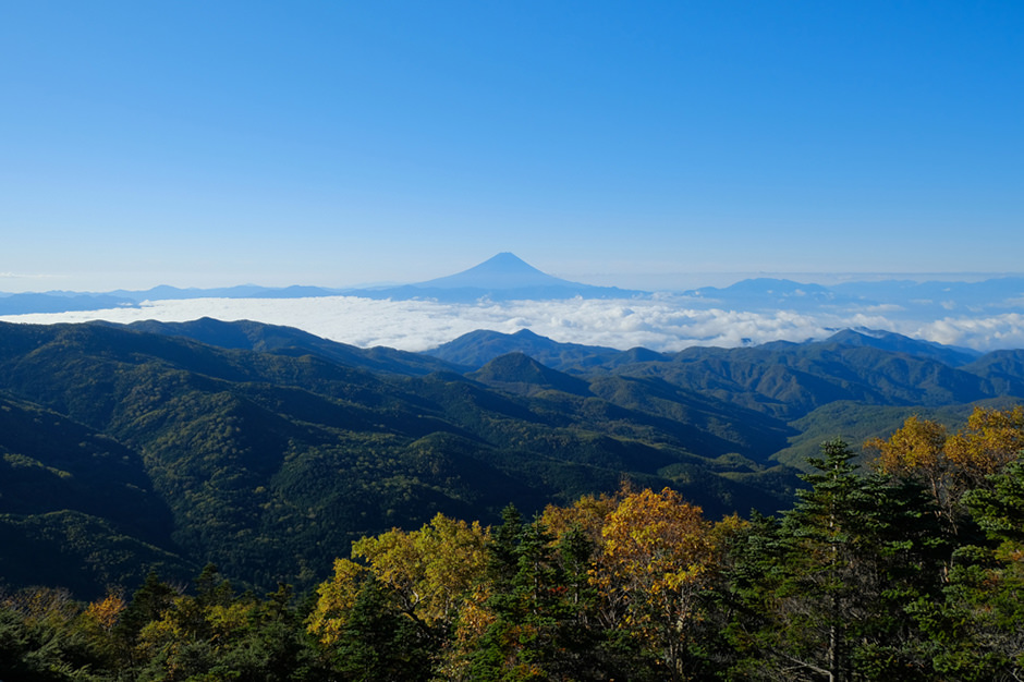 朝日岳あたりからの富士山