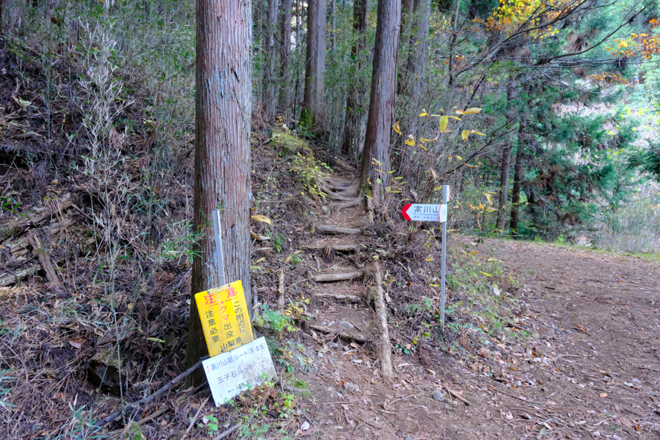 高川山への登山道