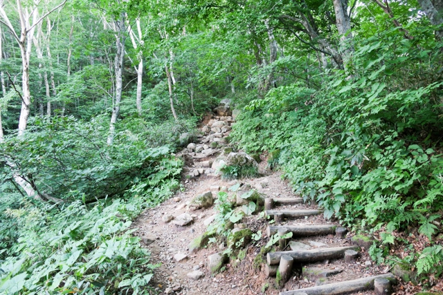 八方台登山口からの登山道