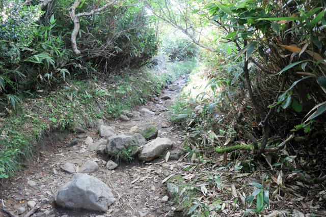 八方台登山口からの登山道