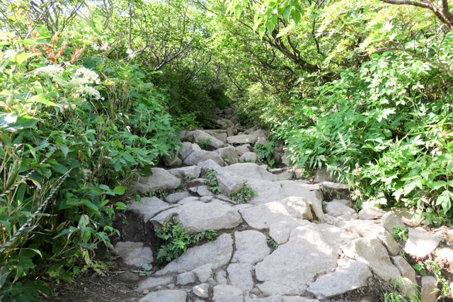 八方台登山口からの登山道