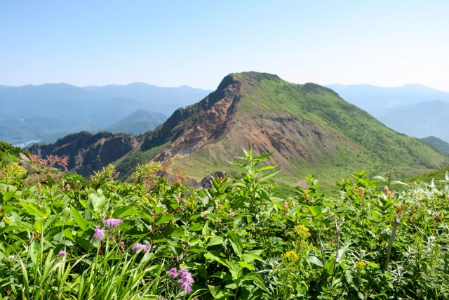 磐梯山のお花畑