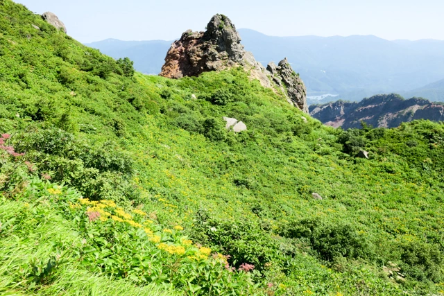 磐梯山のお花畑