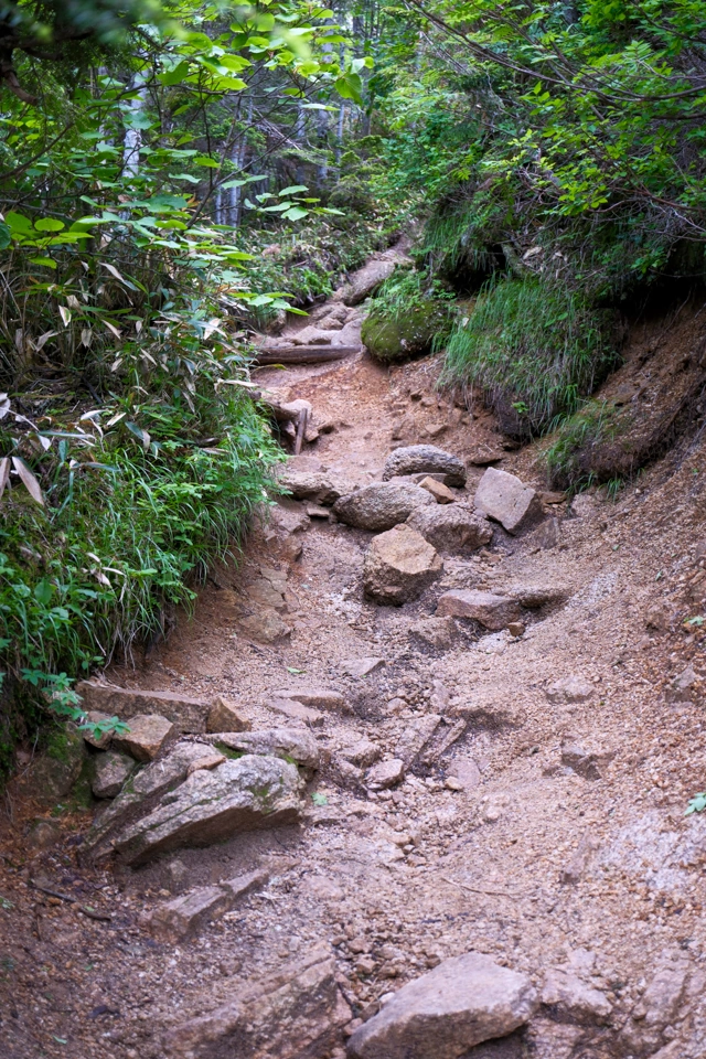 燕岳の登山道