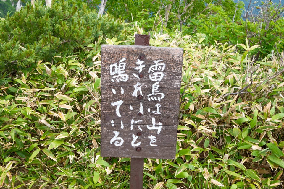 雷鳥は山をきれいにと鳴いている