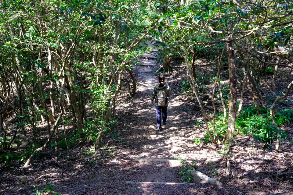 立石山の登山道